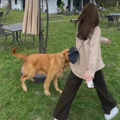 三个鲁伯特